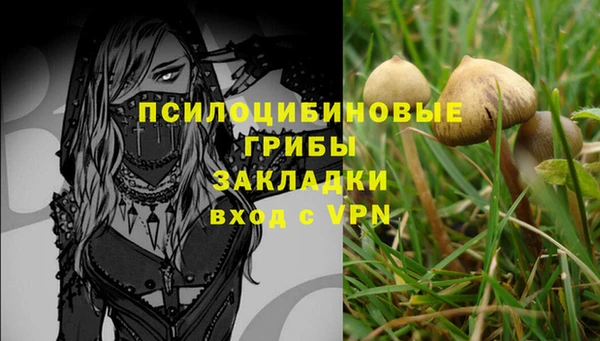 герыч Майский