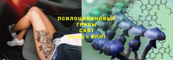 герыч Майский