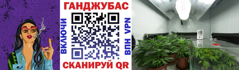 Канабис план  Купить  Шиханы 